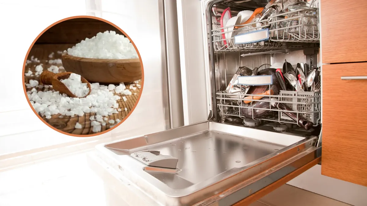 Muối Rửa Bát Có Độc Không?